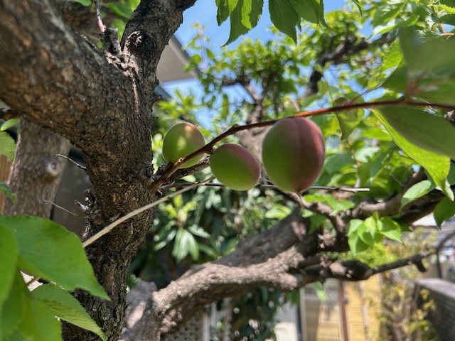 新年度から1か月😊1
