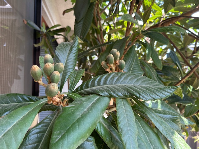 新年度から1か月😊2